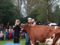 Ernte-und-Tierschaufest-2014-040