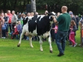 Ernte-und-Tierschaufest-2014-044