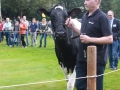 Ernte-und-Tierschaufest-2014-050