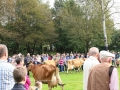 Ernte-und-Tierschaufest-2014-053