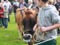 Ernte-und-Tierschaufest-2014-055