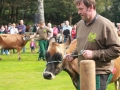 Ernte-und-Tierschaufest-2014-056