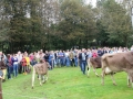 Ernte-und-Tierschaufest-2014-086