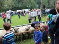 Ernte-und-Tierschaufest-2014-088