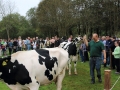 Ernte-und-Tierschaufest-2014-093