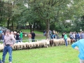 Ernte-und-Tierschaufest-2014-098