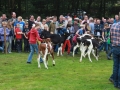 Ernte-und-Tierschaufest-2014-106