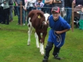 Ernte-und-Tierschaufest-2014-107