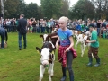 Ernte-und-Tierschaufest-2014-108