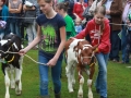 Ernte-und-Tierschaufest-2014-111