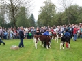 Ernte-und-Tierschaufest-2014-128