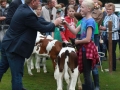 Ernte-und-Tierschaufest-2014-131