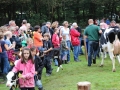 Ernte-und-Tierschaufest-2014-139