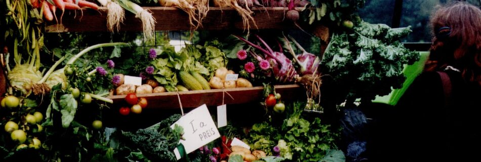 Erntewagen Ernte- und Tierschaufest Drolshagen